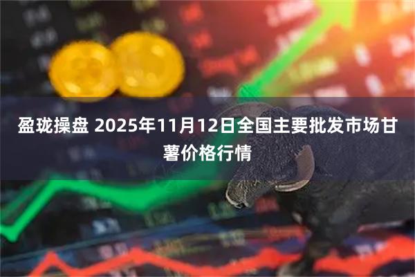 盈珑操盘 2025年11月12日全国主要批发市场甘薯价格行情